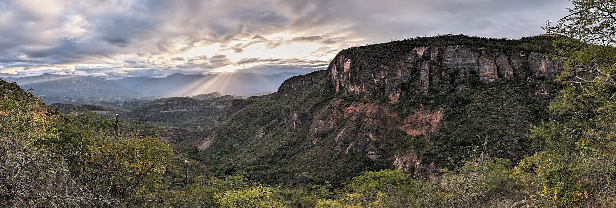 Days 4–6 · Cuicatlán country