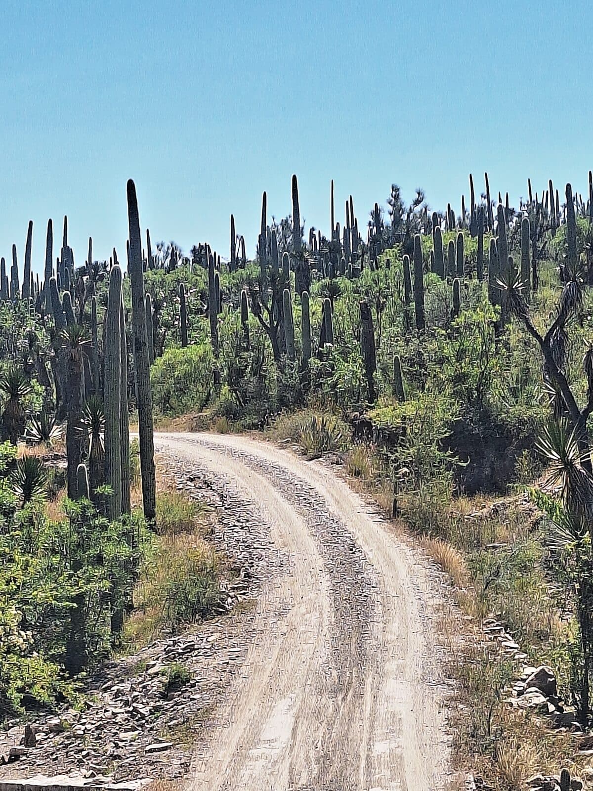 Days 3–4 · The Biosphere Reserve