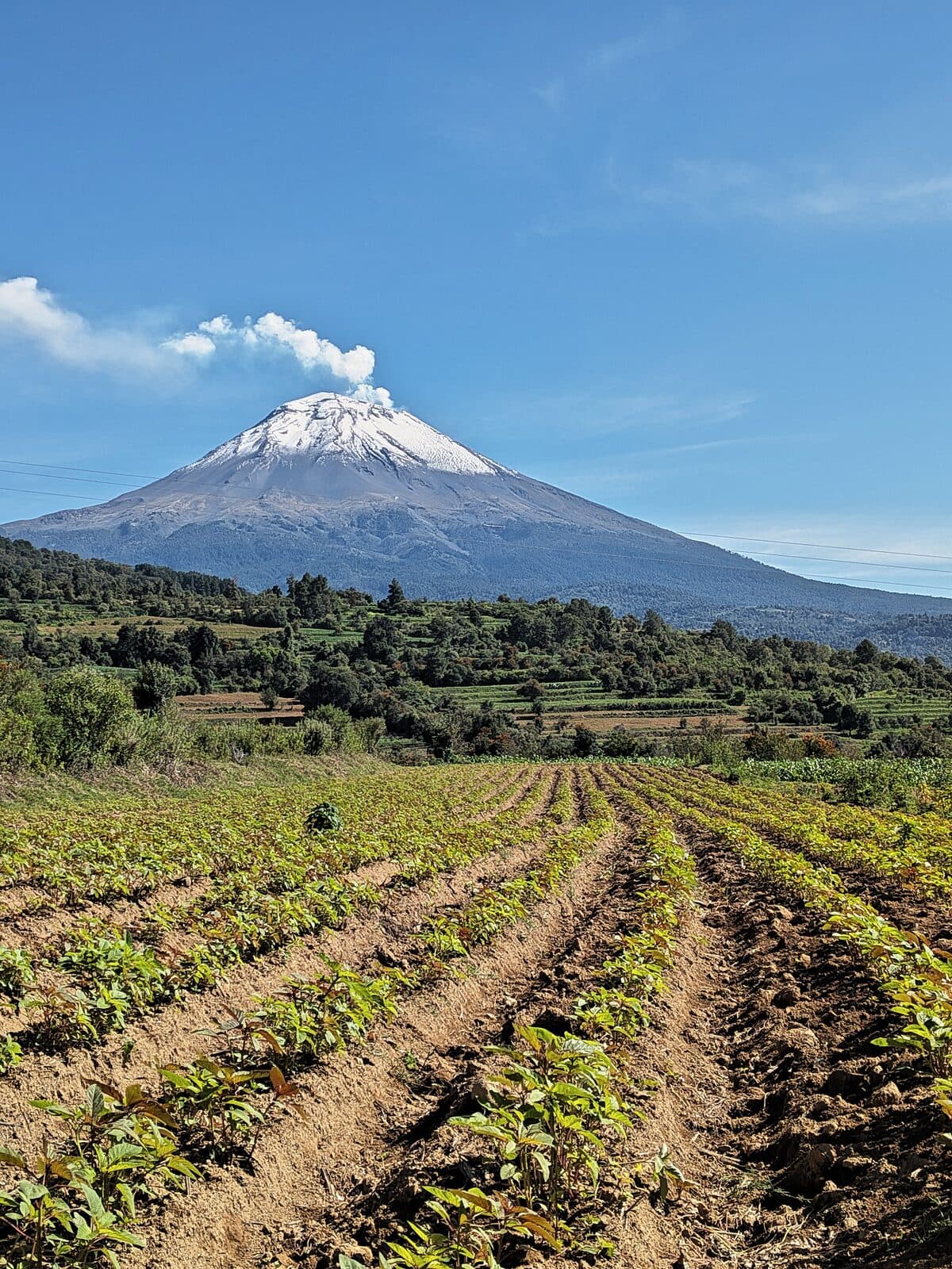 Days 1–2 · The volcanoes